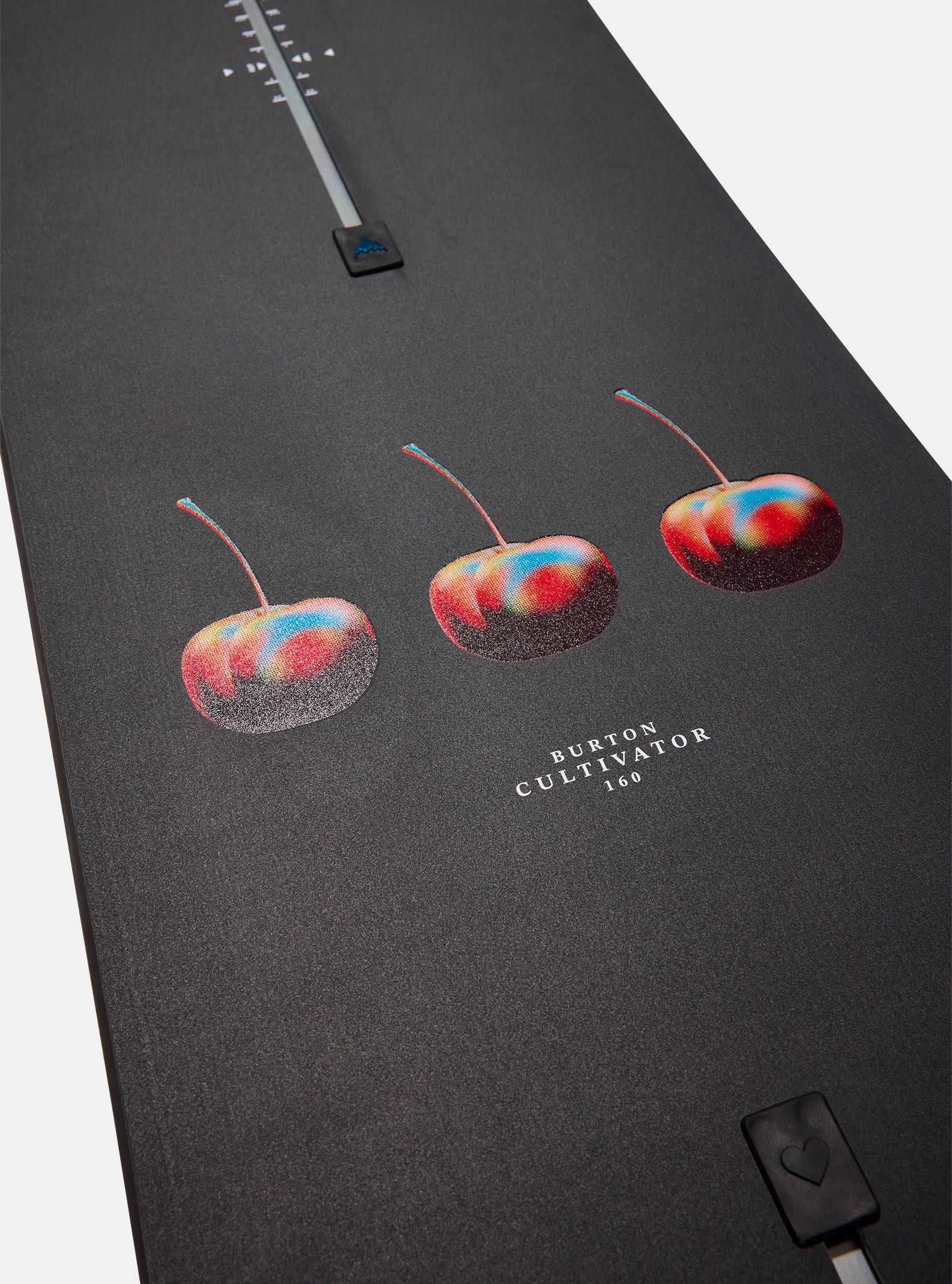 TAVOLA BURTON CULTIVATOR WATERCOLOR