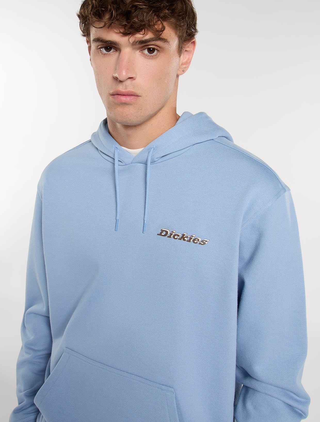 DICKIES HOODIE THORNVILLE 